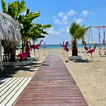 Sa Apartments! 2bd Flat 150m To The *