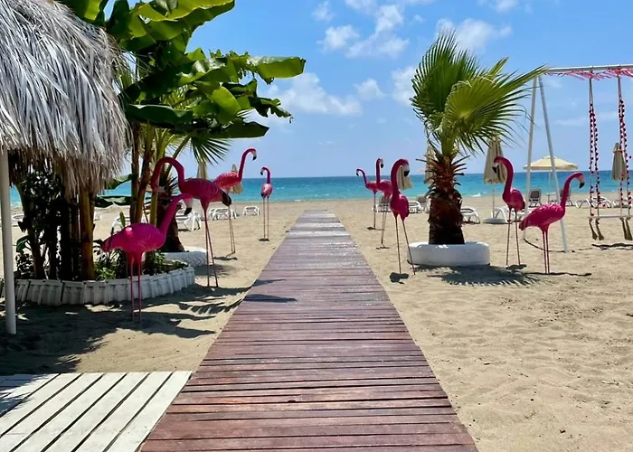 Sa Apartments! 2bd Flat 150m To The *